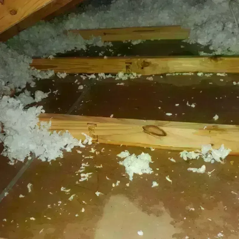 Attic Water Damage in College Place, WA